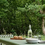 Architect-designed Forest House By Arreso *