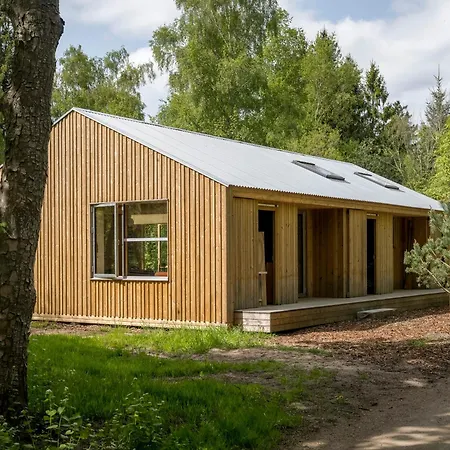 Architect-designed Forest House By Arreso