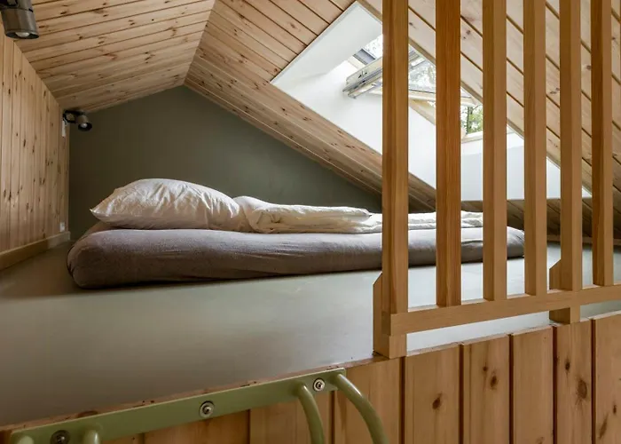 Semesterbostad Architect-designed Forest House By Arreso