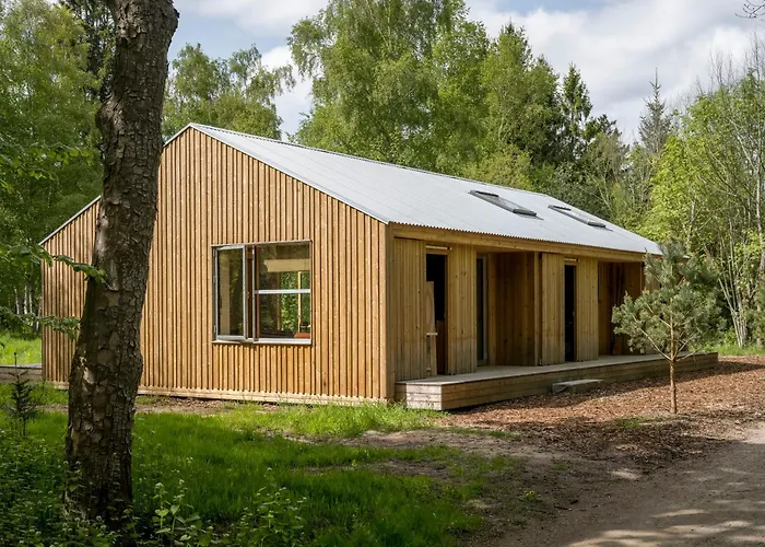 Architect-designed Forest House By Arreso