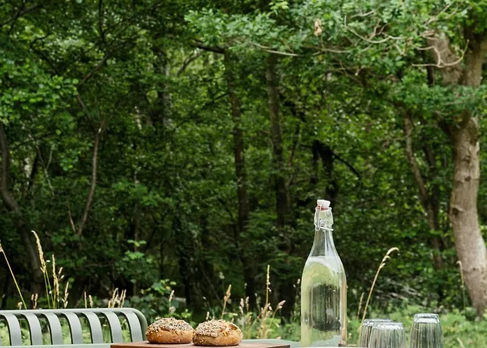 Architect-designed Forest House By Arreso *